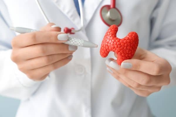 A doctor pointing to a model of a thyroid gland