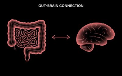 The Gut-Brain Connection: How Your Digestive Health Affects Your Mood